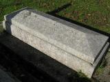 image of grave number 450103
